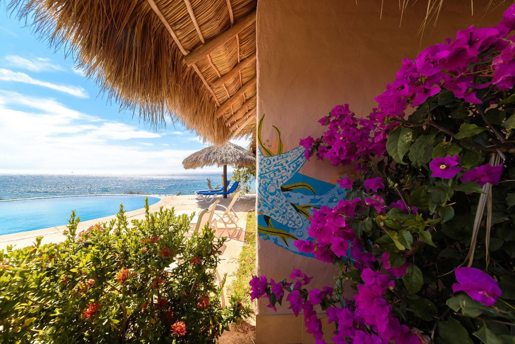 Cabanas El Cielito Villa del Mar Eksteriør billede